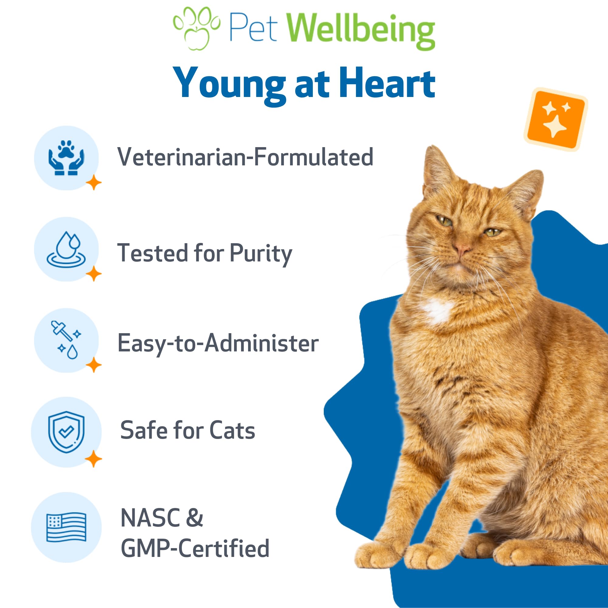 Pet Wellbeing Jeune au Cœur pour Chats — aubépine et mèrewort pour un soutien doux.