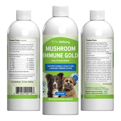 Pet Wellbeing Immunité Champignon Gold – flacon pour chien, soutien immunitaire potentiel.