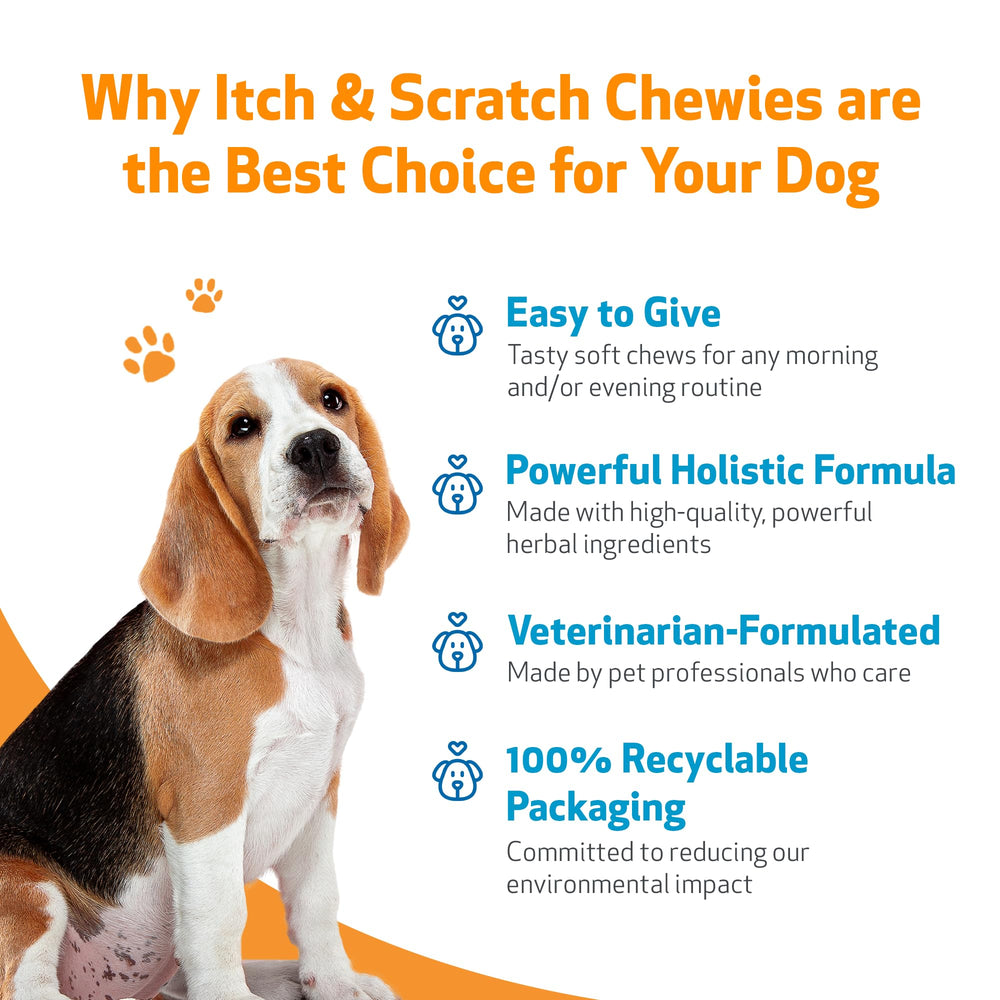 Pet Wellbeing Itch & Scratch Chewies étiquette claire et dose recommandée.