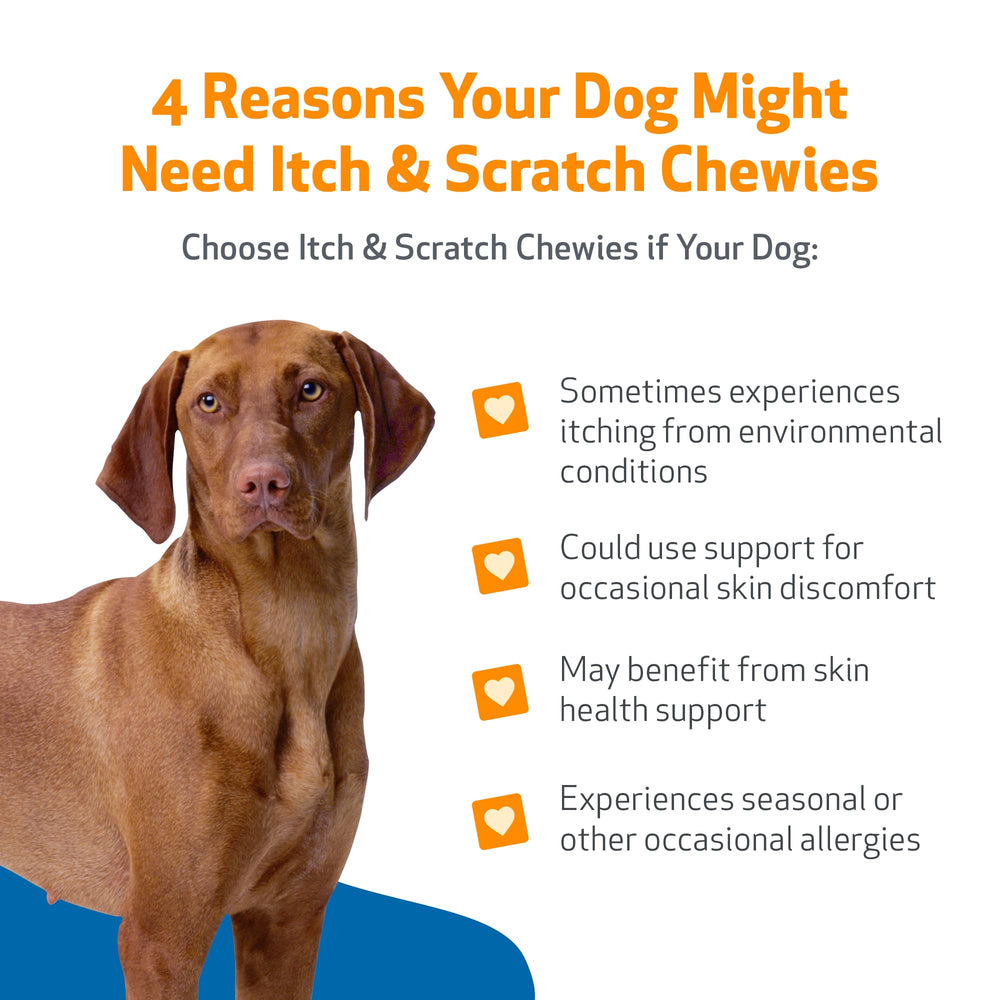 Pet Wellbeing Itch & Scratch Chewies chien heureux après le snack.