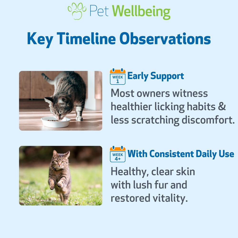Pet Wellbeing Itch Support Gold – routine naturelle pour les irritations cutanées locales.
