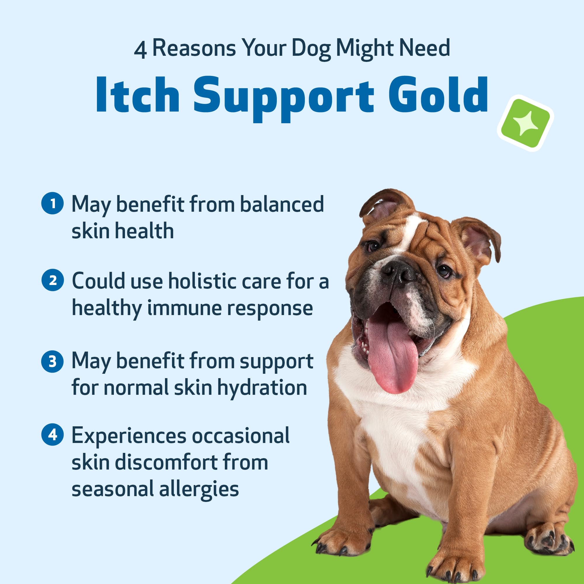 Pet Wellbeing Itch Support Gold – Flacon doré prêt à soutenir le bien‑être du chien.