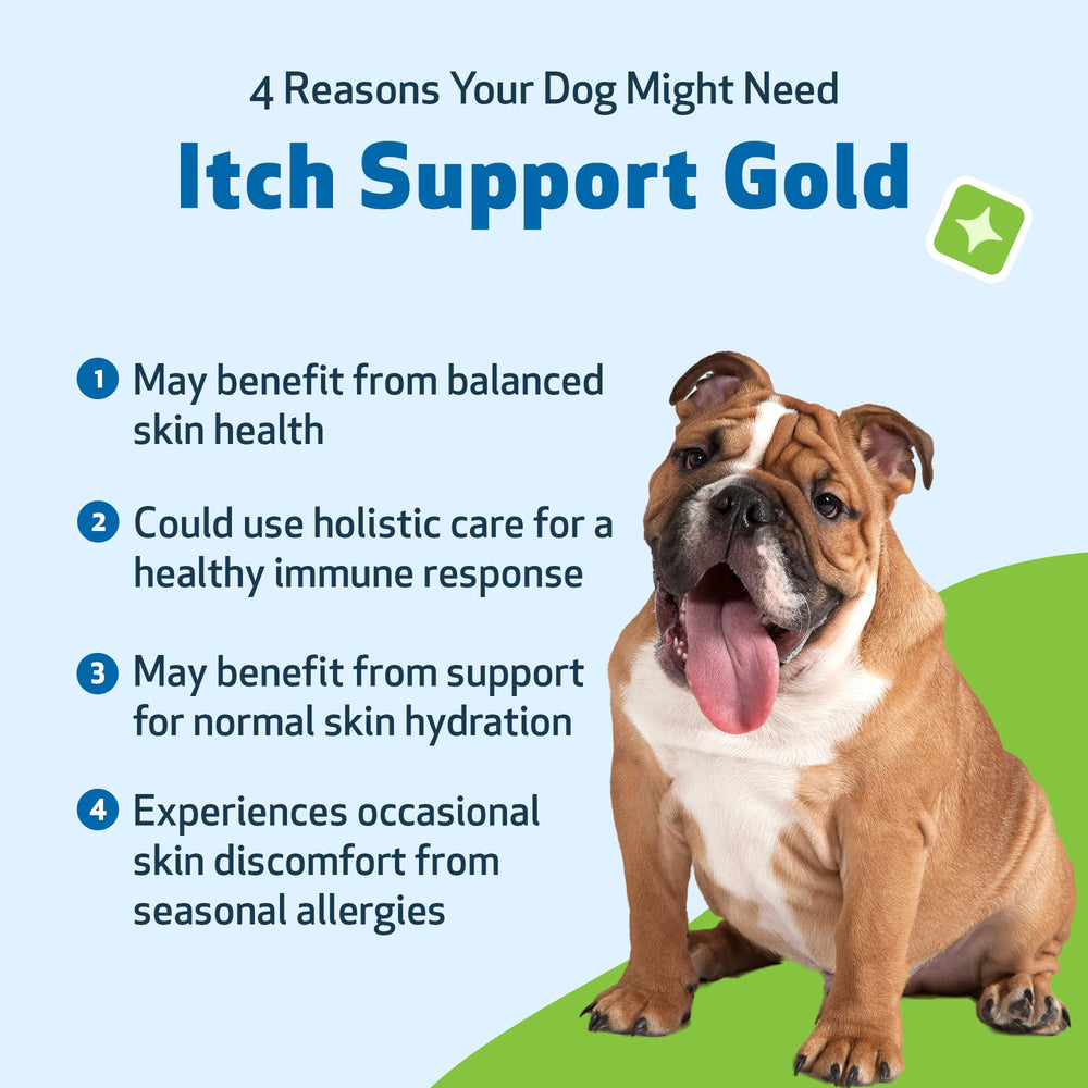 Pet Wellbeing Itch Support Gold – Flacon doré prêt à soutenir le bien‑être du chien.