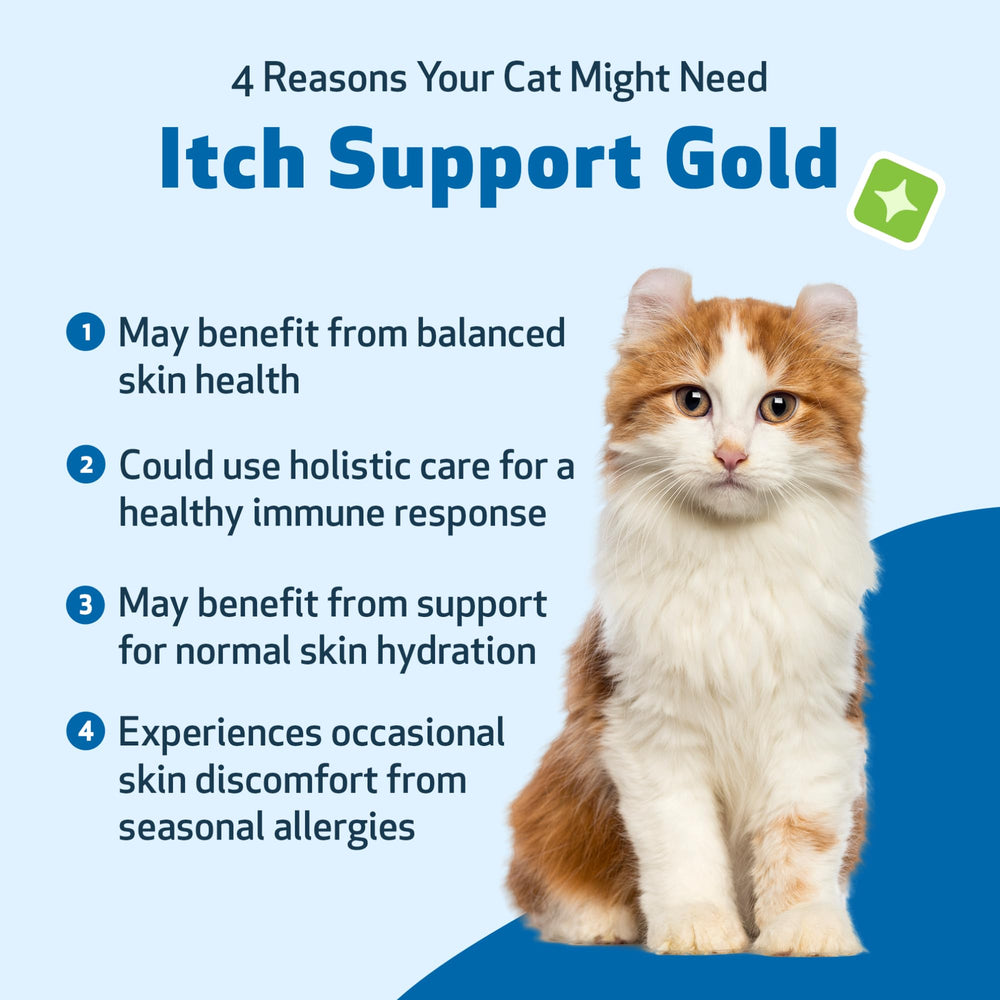 Pet Wellbeing Itch Support Gold – produit sûr et testé pour chats sensibles.