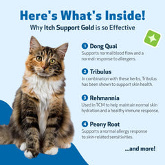 Pet Wellbeing Itch Support Gold, tableau des ingrédients, dong quai, peau saine.