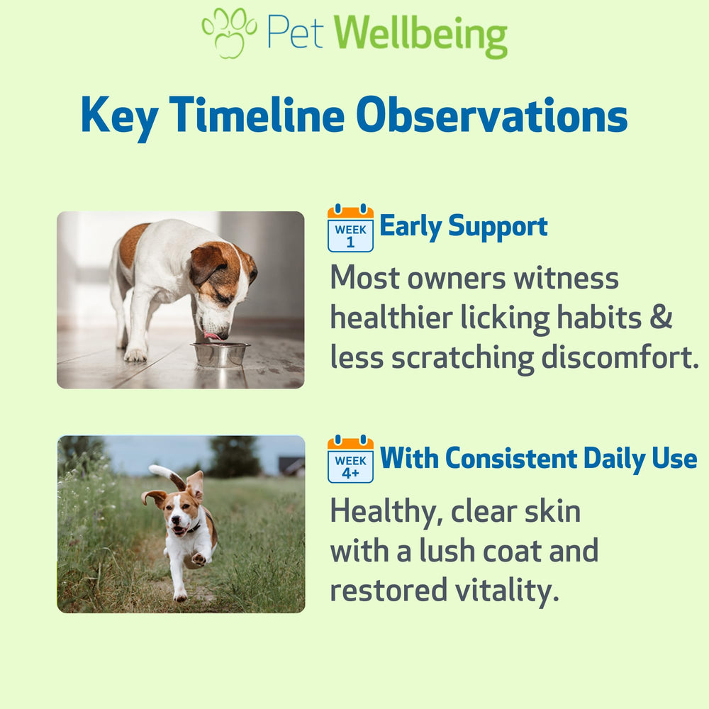 Pet Wellbeing Itch Support Gold – Fabriqué aux États‑Unis dans des installations certifiées.