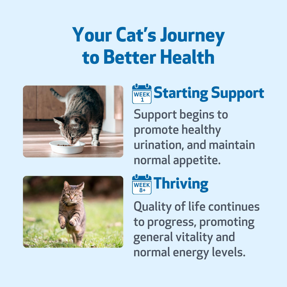 Pet Wellbeing Kidney Support Gold – Étiquette et certification NASC pour la qualité.