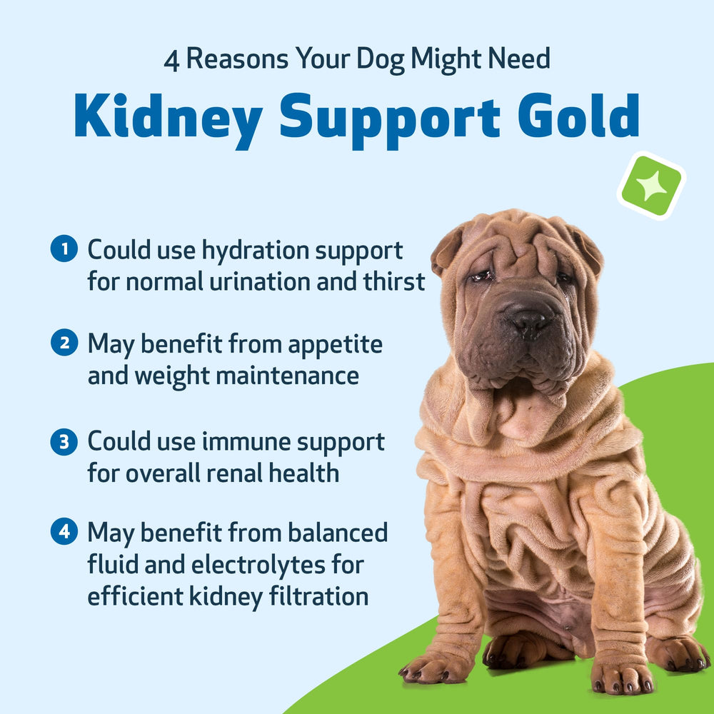 Pet Wellbeing Kidney Support Gold prévention et soutien quotidien du bien-être canin