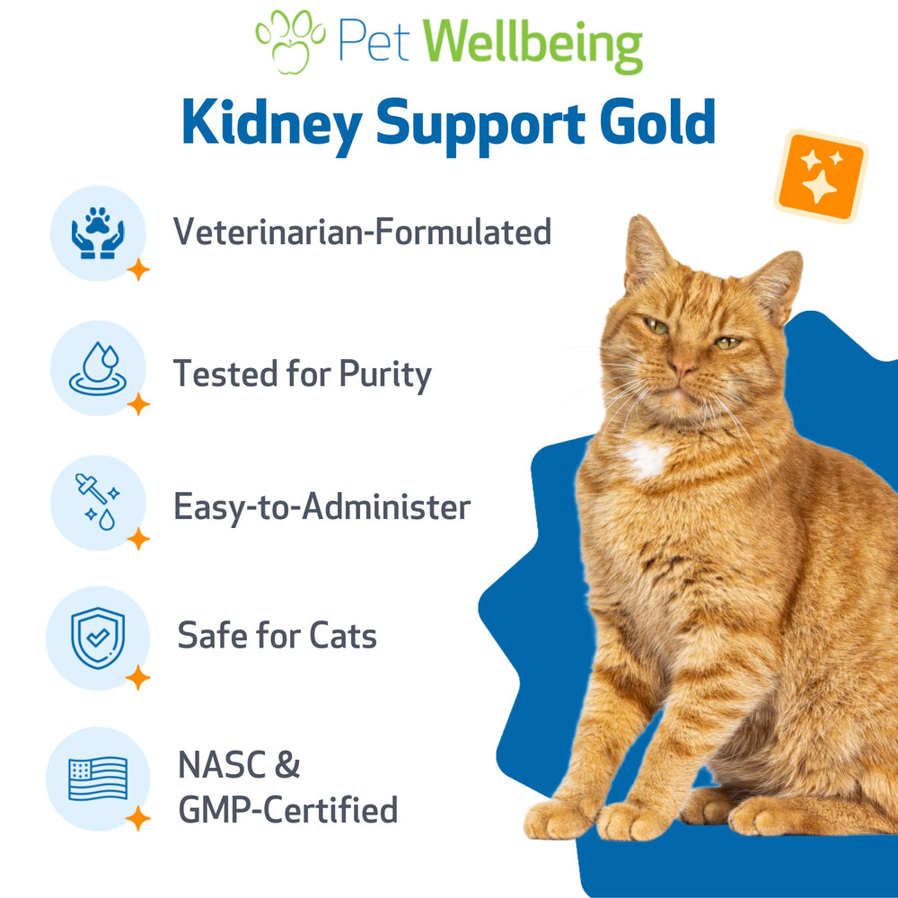 Pet Wellbeing Kidney Support Gold – Formule à base d’herbes: soutien doux et naturel.