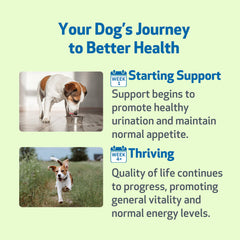 Pet Wellbeing Kidney Support Gold ingrédients naturels et dosage précis.