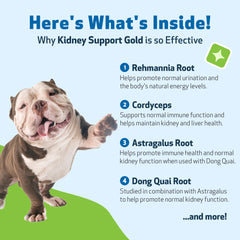 Pet Wellbeing Kidney Support Gold étiquette et posologie.
