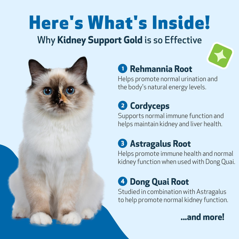 Pet Wellbeing Kidney Support Gold – Saveur bacon: goût attrayant facilitant l’usage quotidien.
