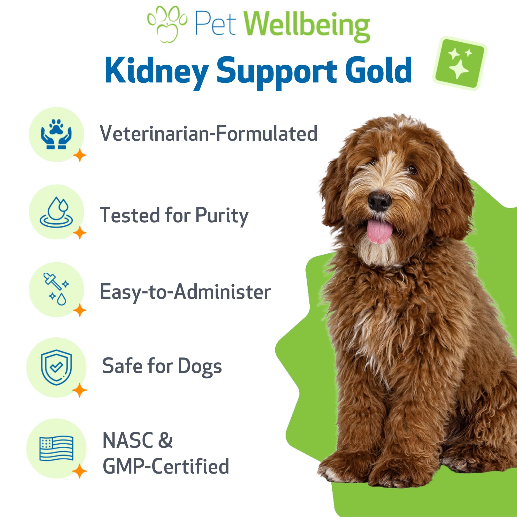 Pet Wellbeing Kidney Support Gold formule vétérinaire pour chiens.