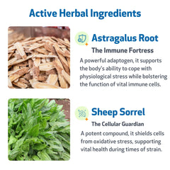 Pet Wellbeing Life Gold: antioxydants naturels pour protéger les cellules canines