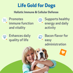 Pet Wellbeing Life Gold: immunité renforcée grâce à une formule végétale