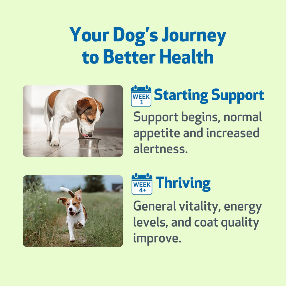 Pet Wellbeing Life Gold: ingrédients à base de plantes naturels et bénéfiques