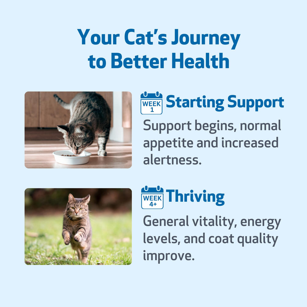 Pet Wellbeing Life Gold tests-certifications-lab, contrôle qualité et sécurité.
