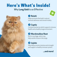 Lung Gold : flacon de 59 ml prêt à l'emploi pour chats.