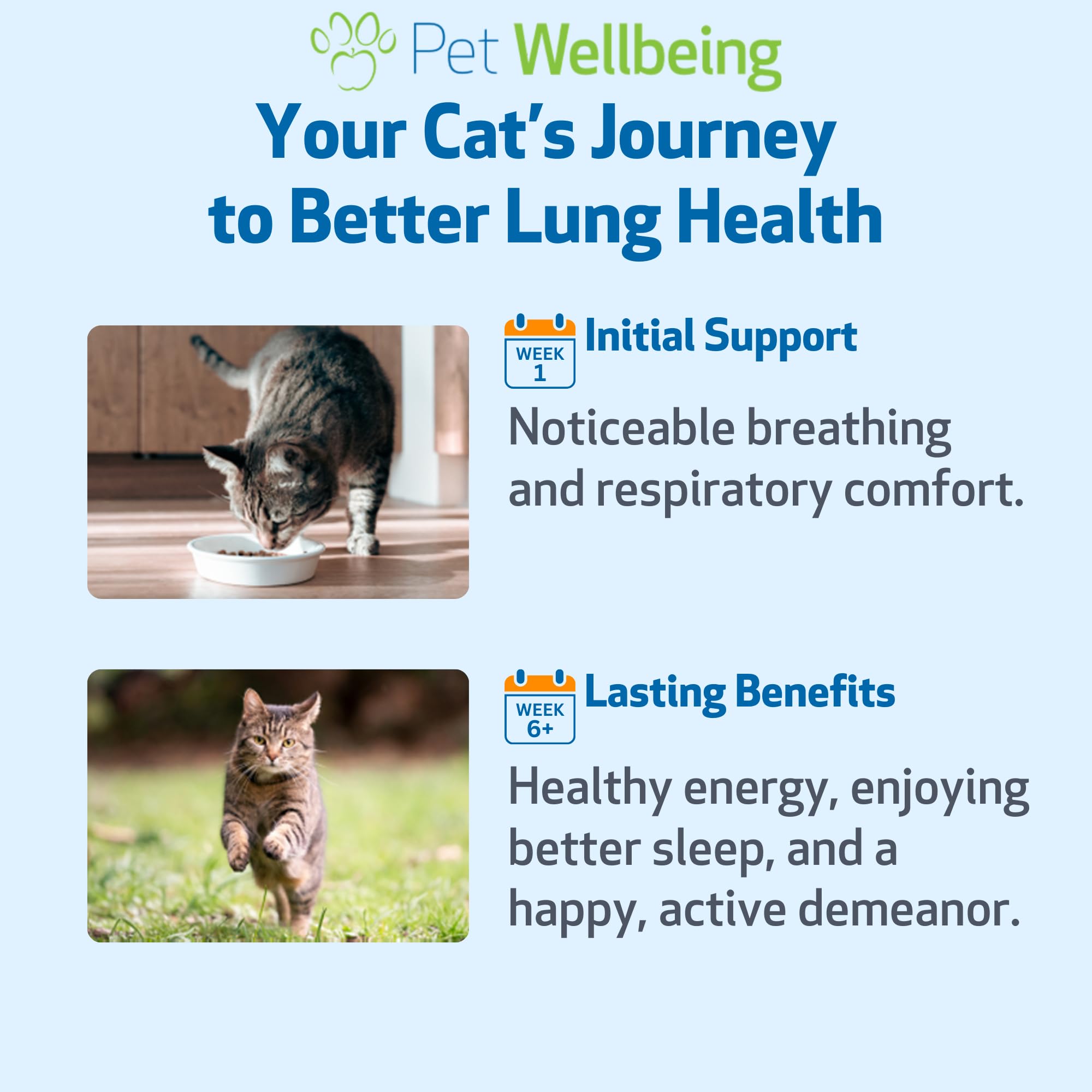 Pet Wellbeing Lung Gold – dose précise pour chat, facilité d’utilisation.