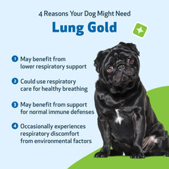 Gouttes Lung Gold Pet Wellbeing prêtes à être mélangées au repas