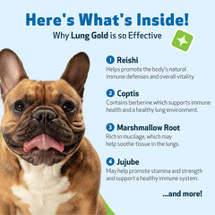 Pipette Lung Gold Pet Wellbeing pour un dosage précis