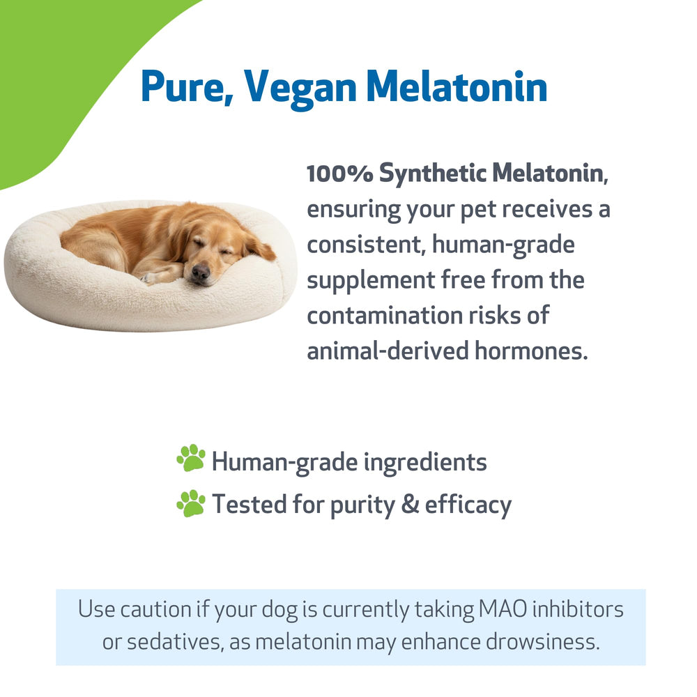 Pet Wellbeing Mélatonine pour chiens — étiquette claire avec informations utiles.