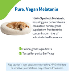 Pet Wellbeing Mélatonine pour chiens — étiquette claire avec informations utiles.
