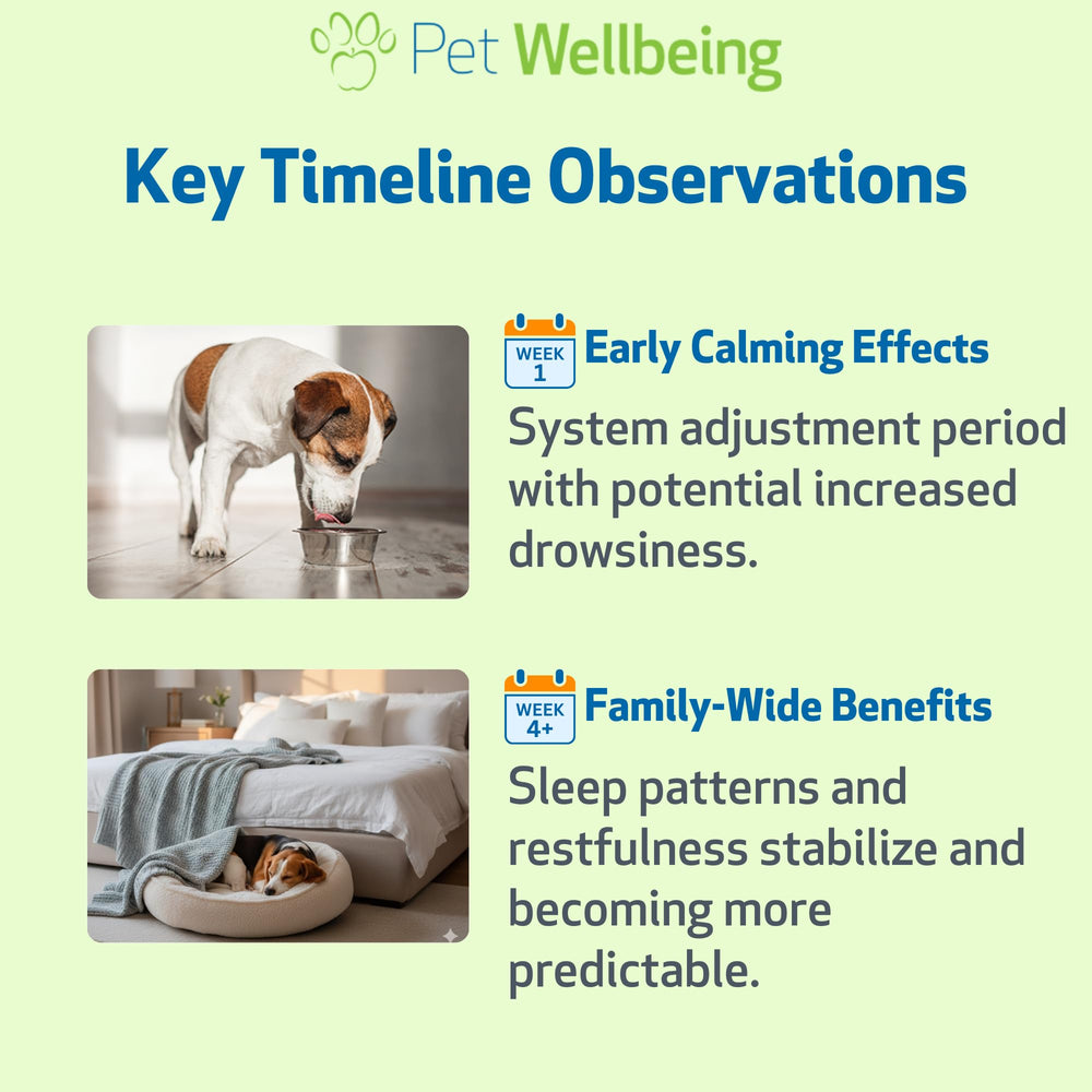 Pet Wellbeing Mélatonine chien fabriqué États-Unis: conformité NASC.