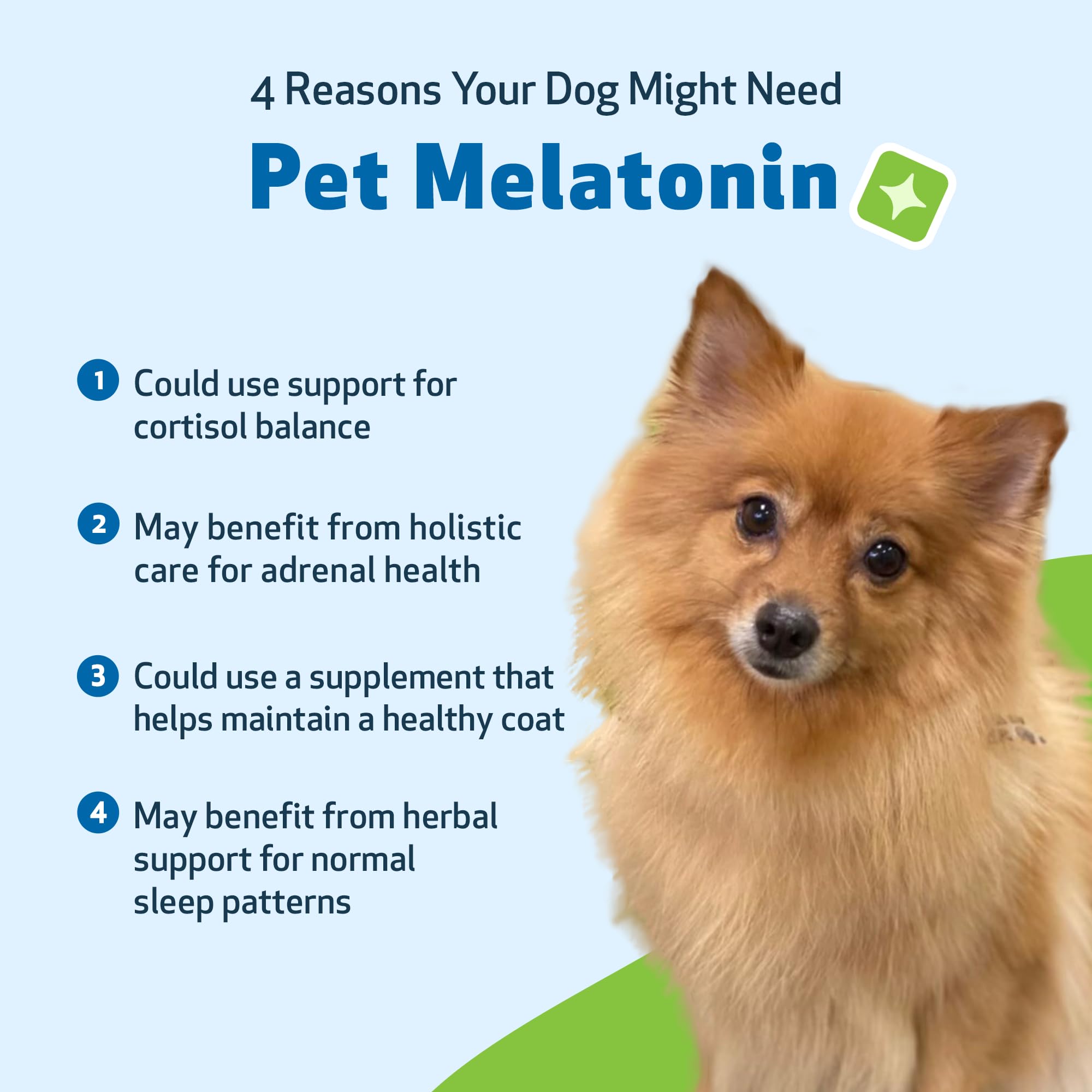 Pet Wellbeing Mélatonine pour chiens — formulation vétérinaire de qualité