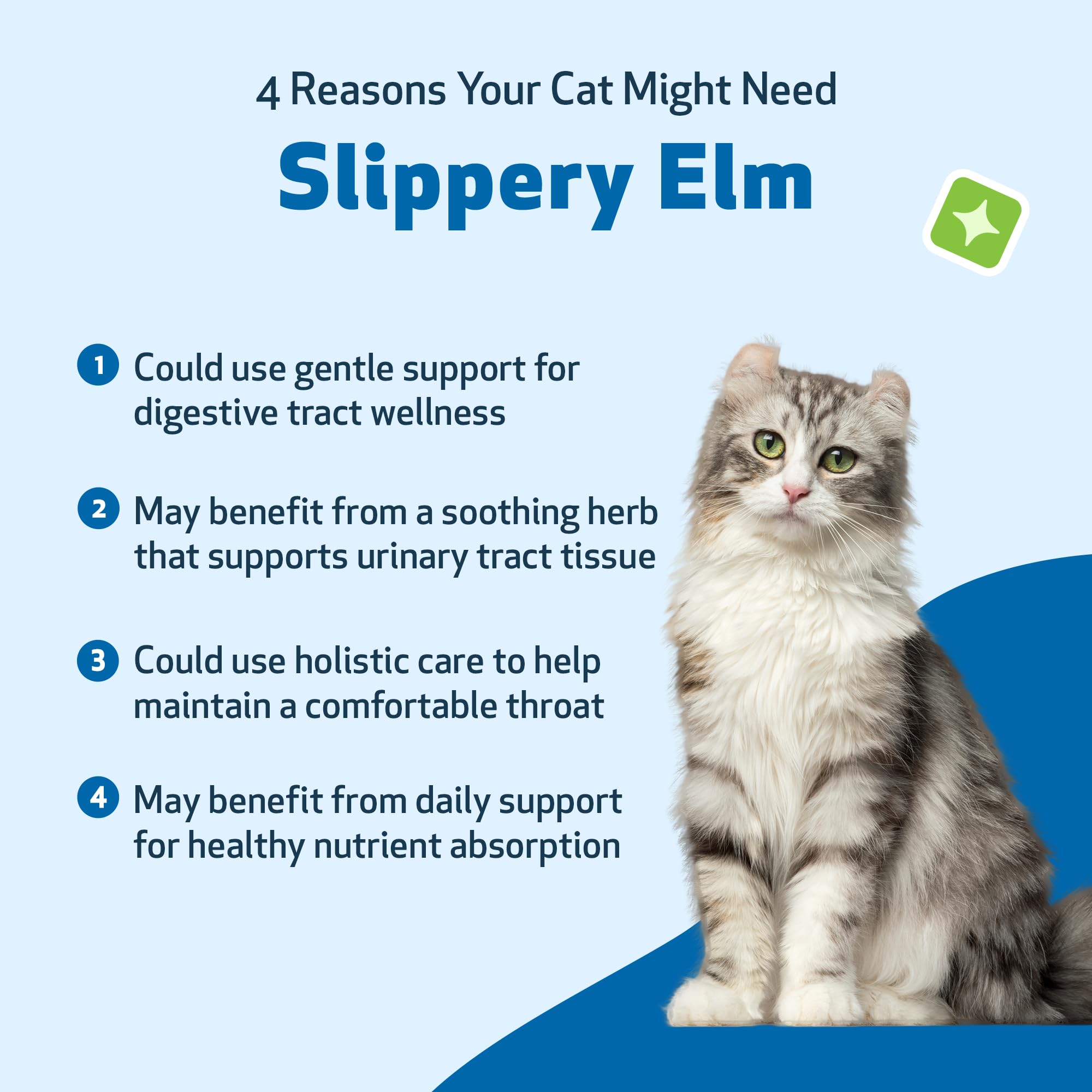 Pet Wellbeing Orme Glissant pour Chats – Soin naturel pour le bien-être félin.