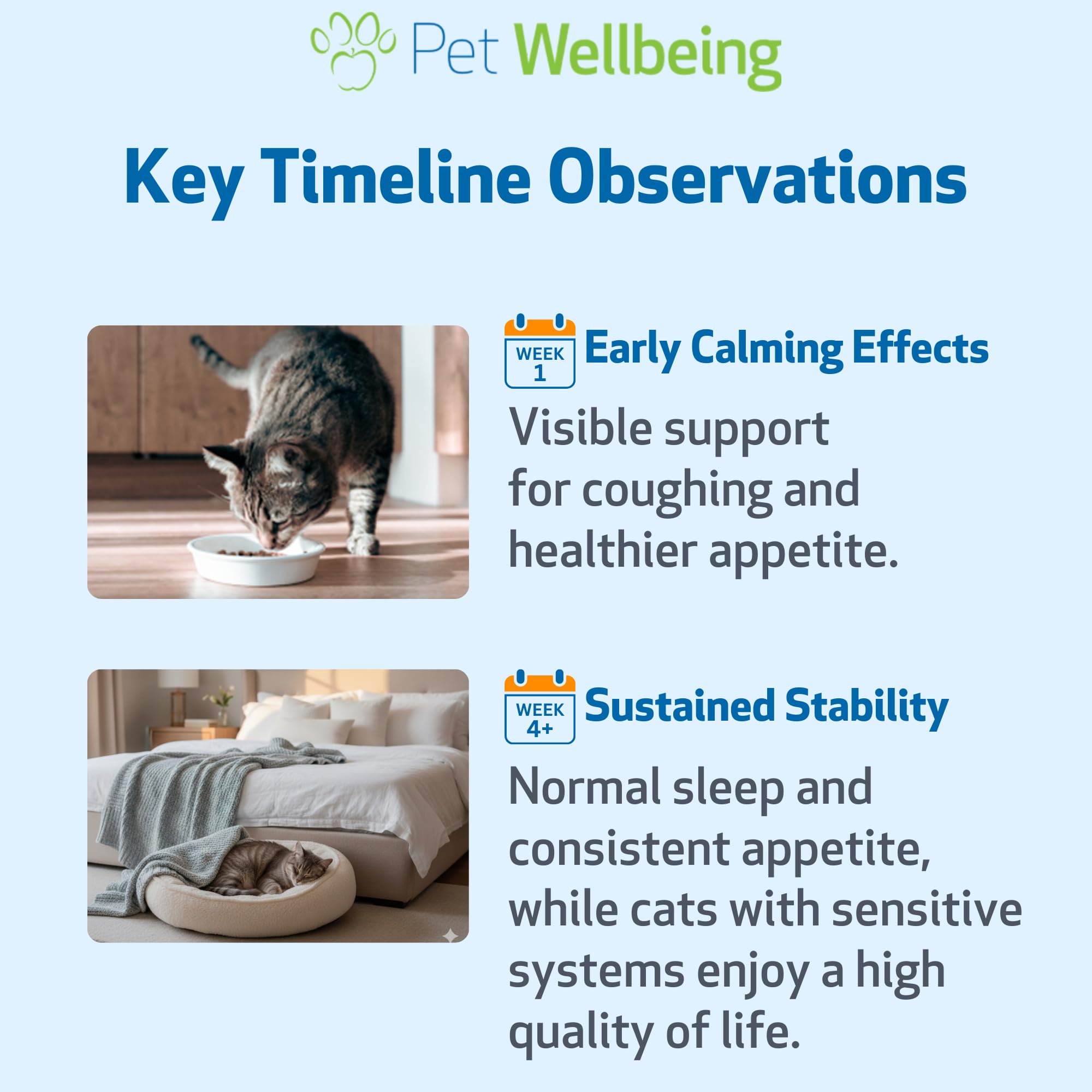 Pet Wellbeing Orme Glissant pour Chats – Qualité et sécurité certifiée par tests externes.