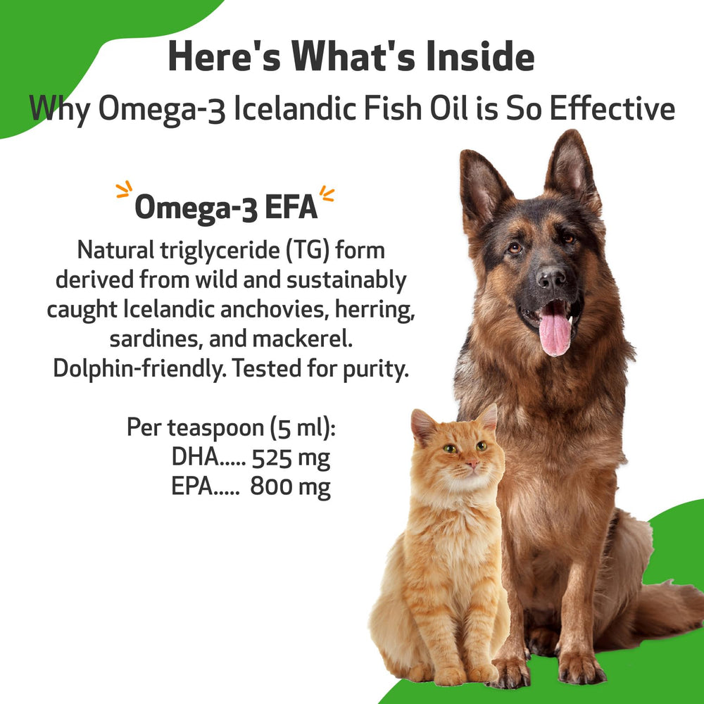 Peau saine et confort, pelage éclatant avec l'huile Omega-3 Pet Wellbeing.