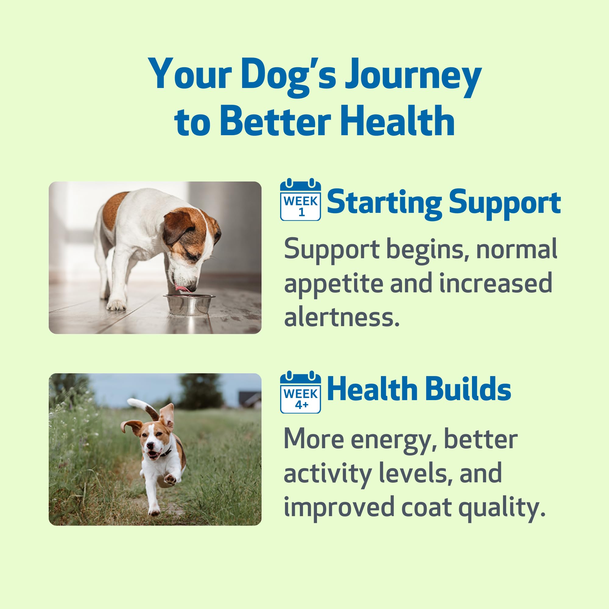 Pet Wellbeing pipette chardon-marie - dosage précis pour chiens.