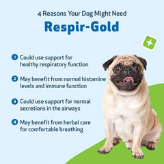 Respir-Gold – étiquette du produit présentant ingrédients et usages potentiels pour chien.