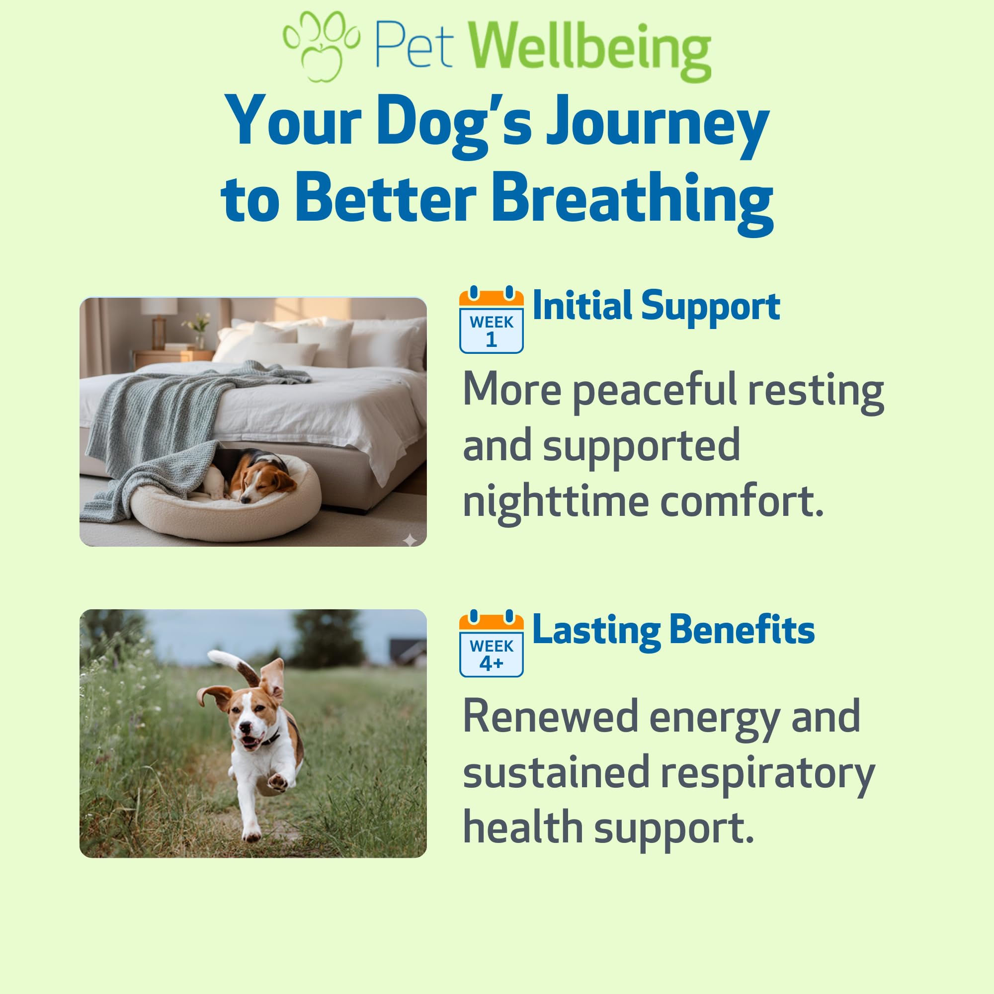Respir-Gold Pet Wellbeing, herbes traditionnelles pour le confort pulmonaire.