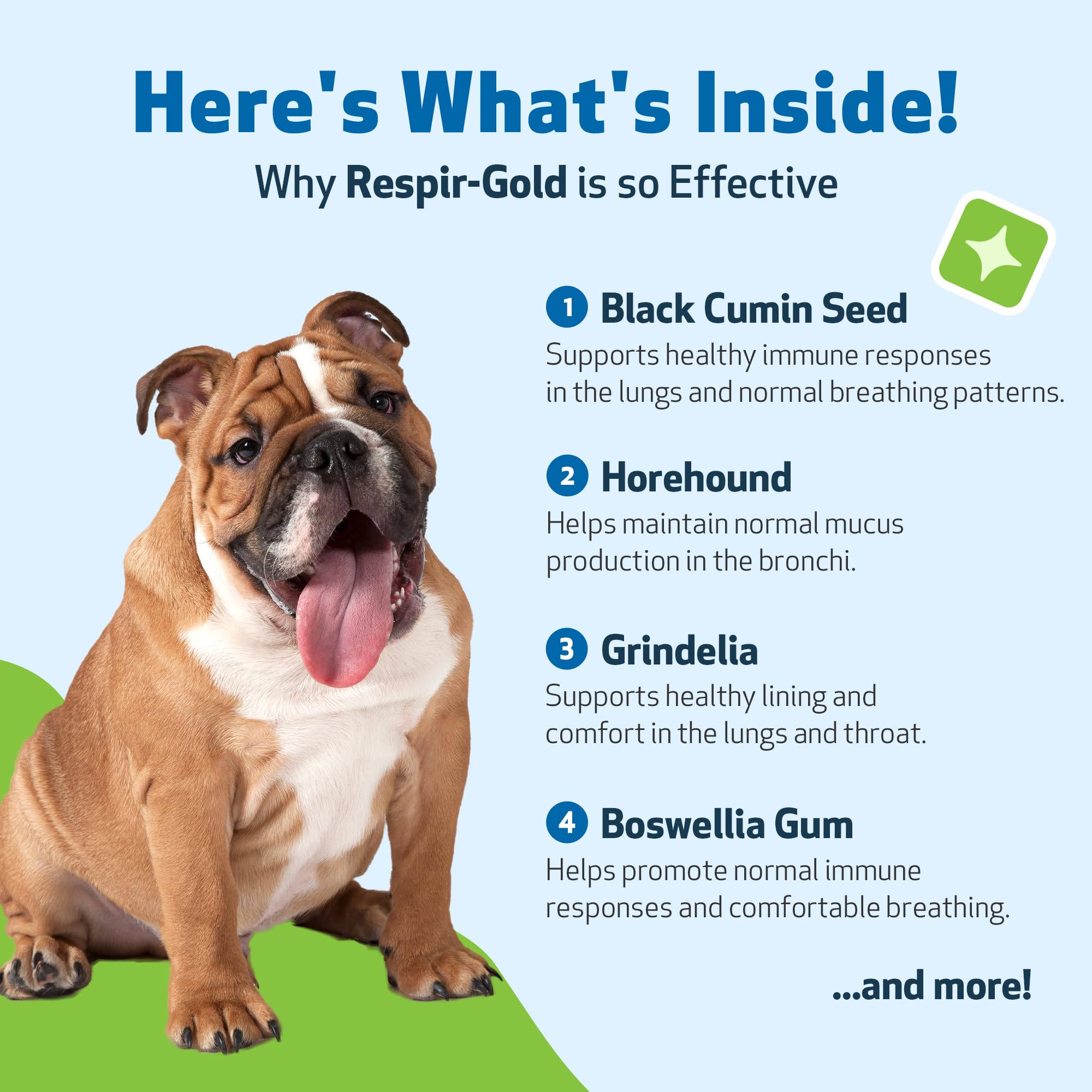 Respir-Gold Pet Wellbeing, formulation liquide à absorption rapide.