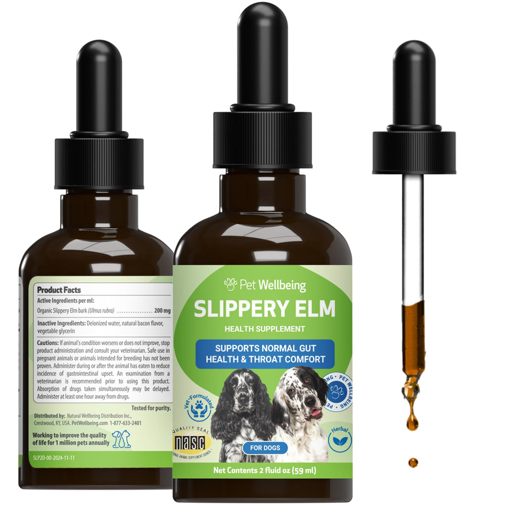 Bouteille Pet Wellbeing Slippery Elm pour chiens, soutien digestif potentiel.