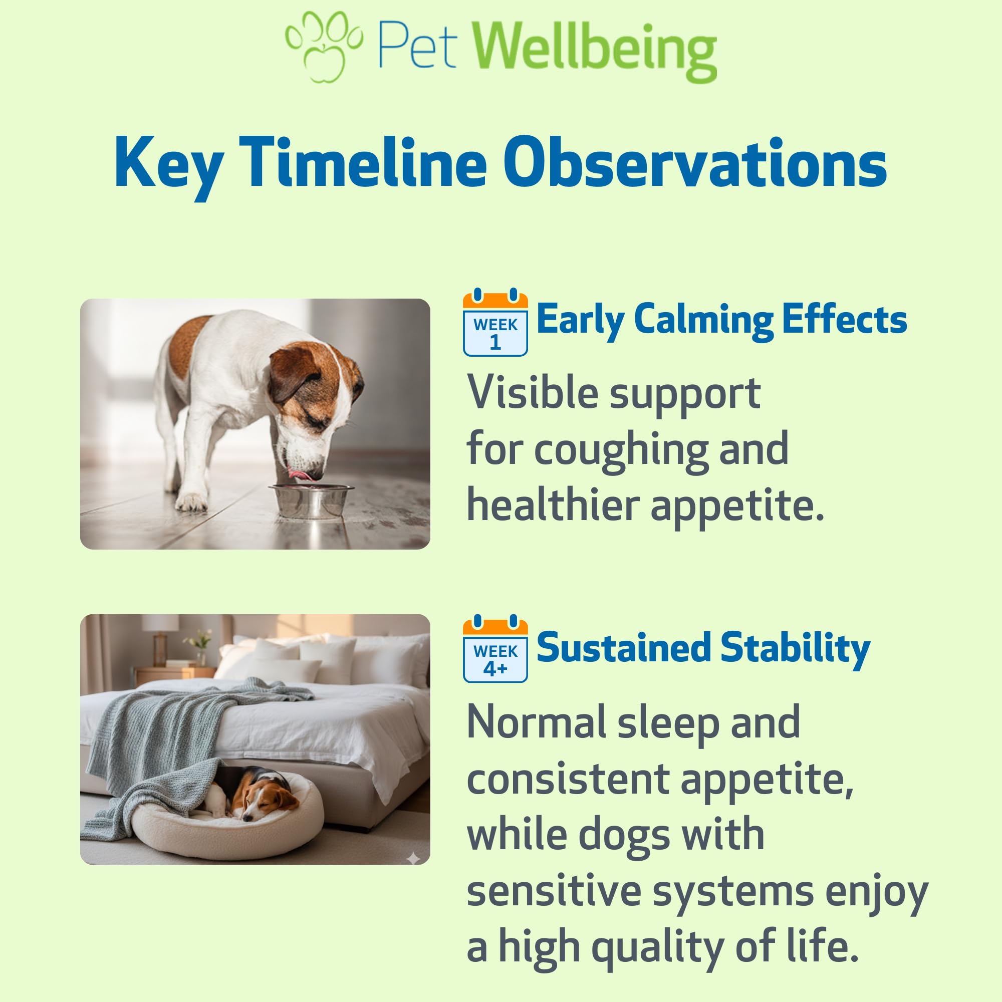 Contexte vétérinaire Pet Wellbeing Slippery Elm, formulation sûre pour chiens.