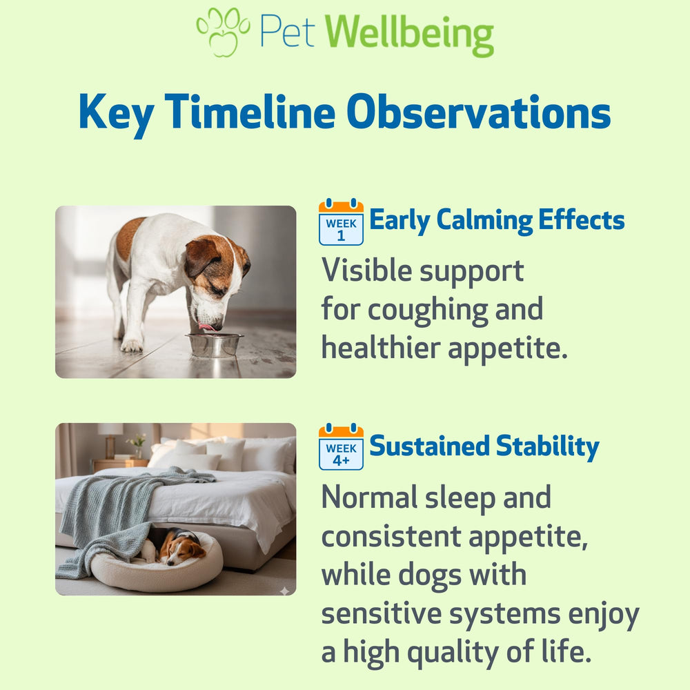 Contexte vétérinaire Pet Wellbeing Slippery Elm, formulation sûre pour chiens.
