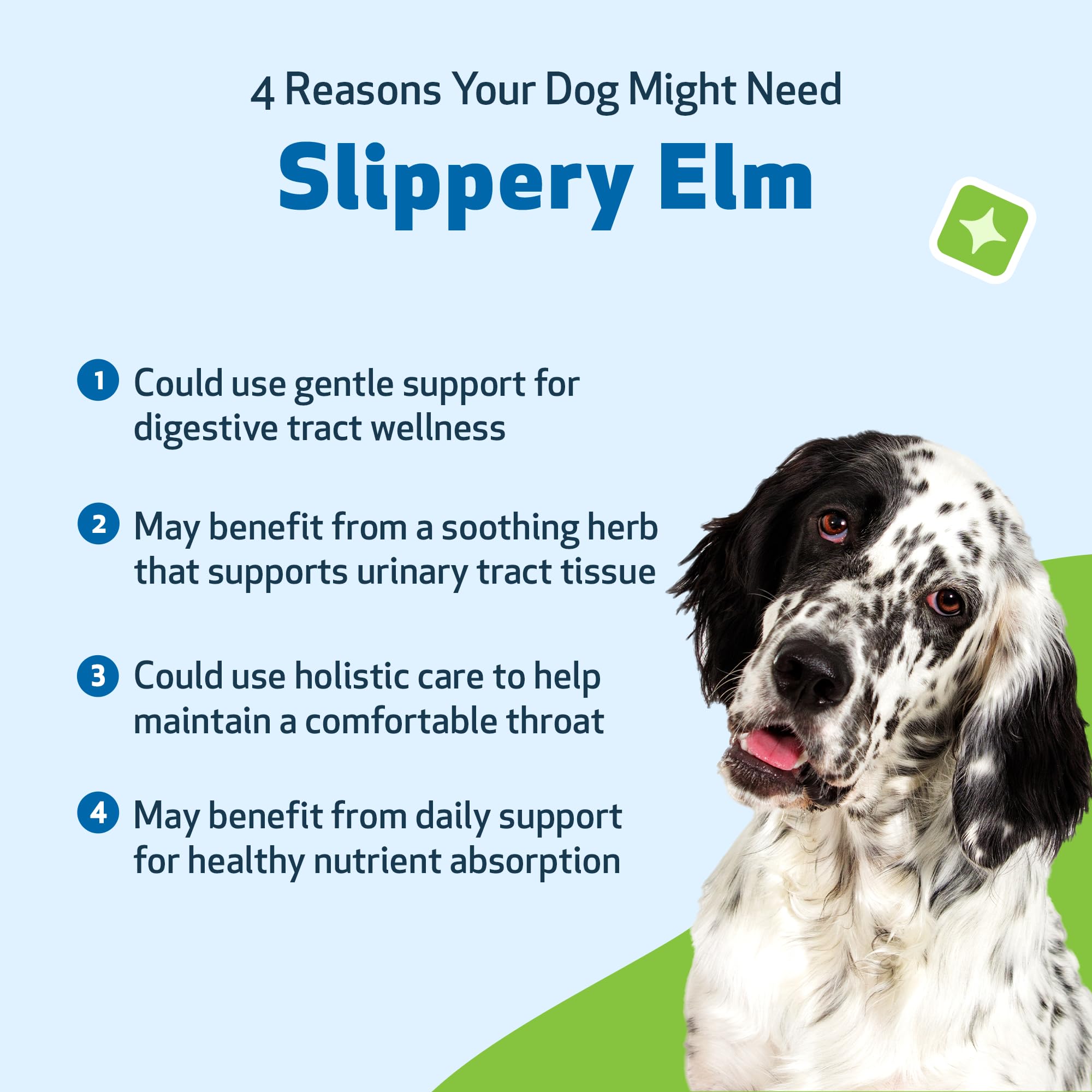Formulation liquide Pet Wellbeing Slippery Elm, absorption douce et flexible.