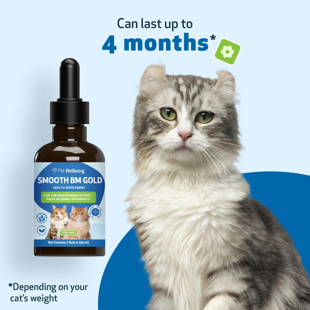 Soutien potentiel à la routine digestive du chat avec Pet Wellbeing.