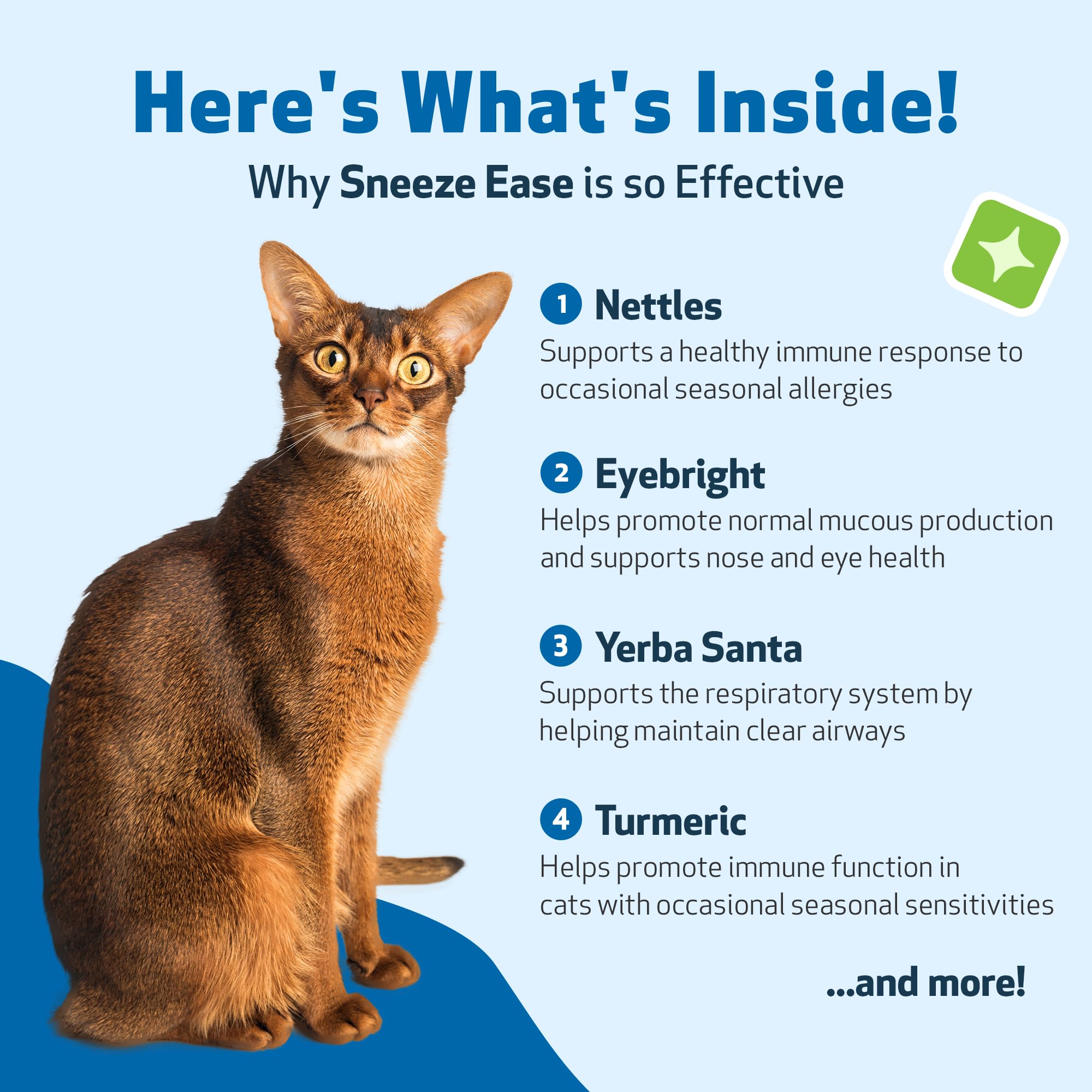 Chat détendu après administration de Pet Wellbeing Sneeze Ease.