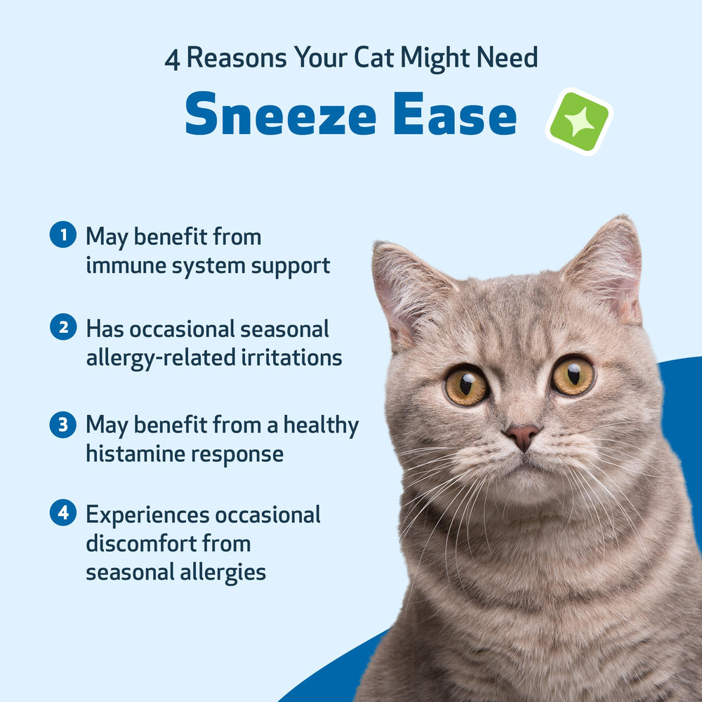 Chat recevant Pet Wellbeing Sneeze Ease, soutien nasal et oculaire.