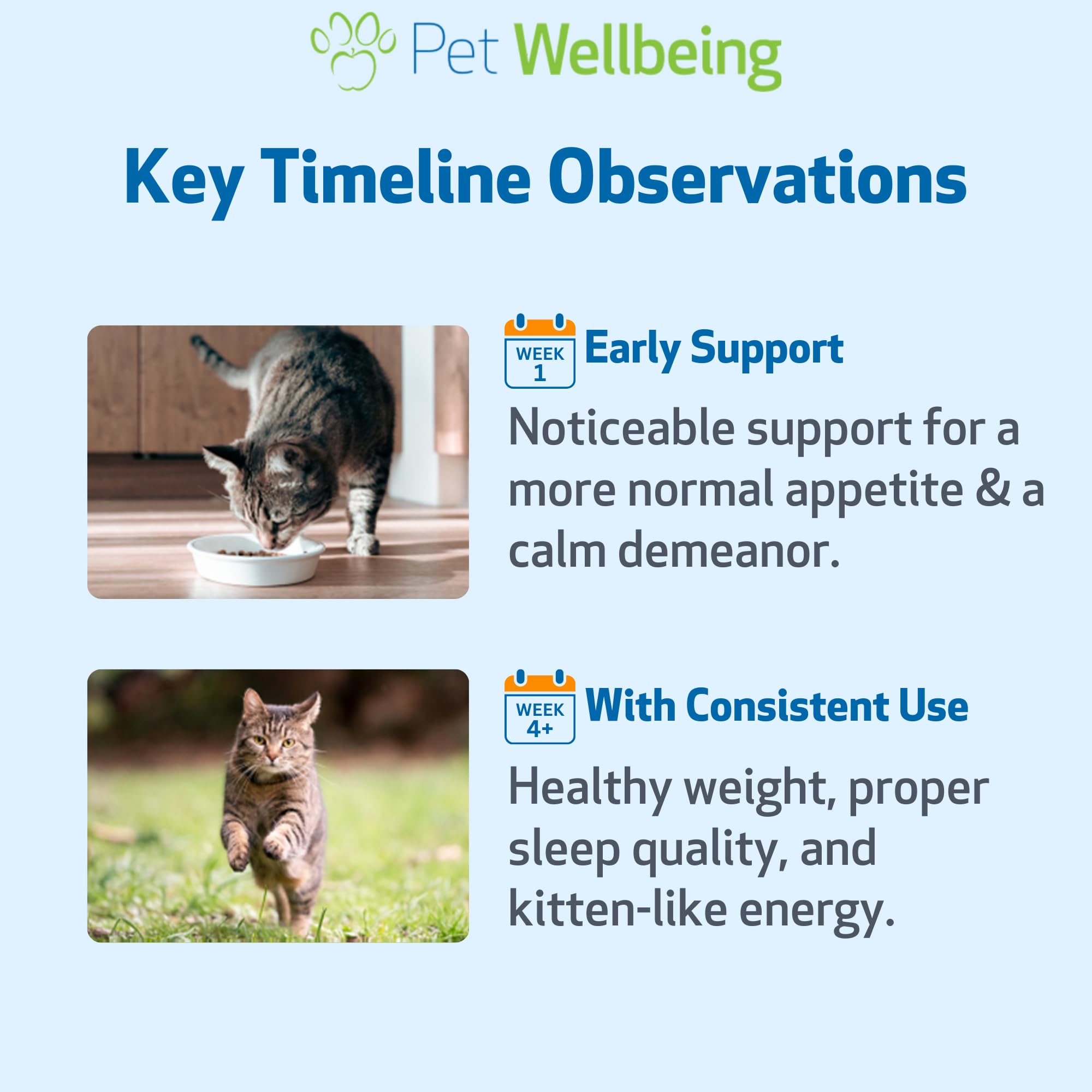 Absorption rapide du liquide Pet Wellbeing Soutien Thyroïde Doré, biodisponibilité améliorée.