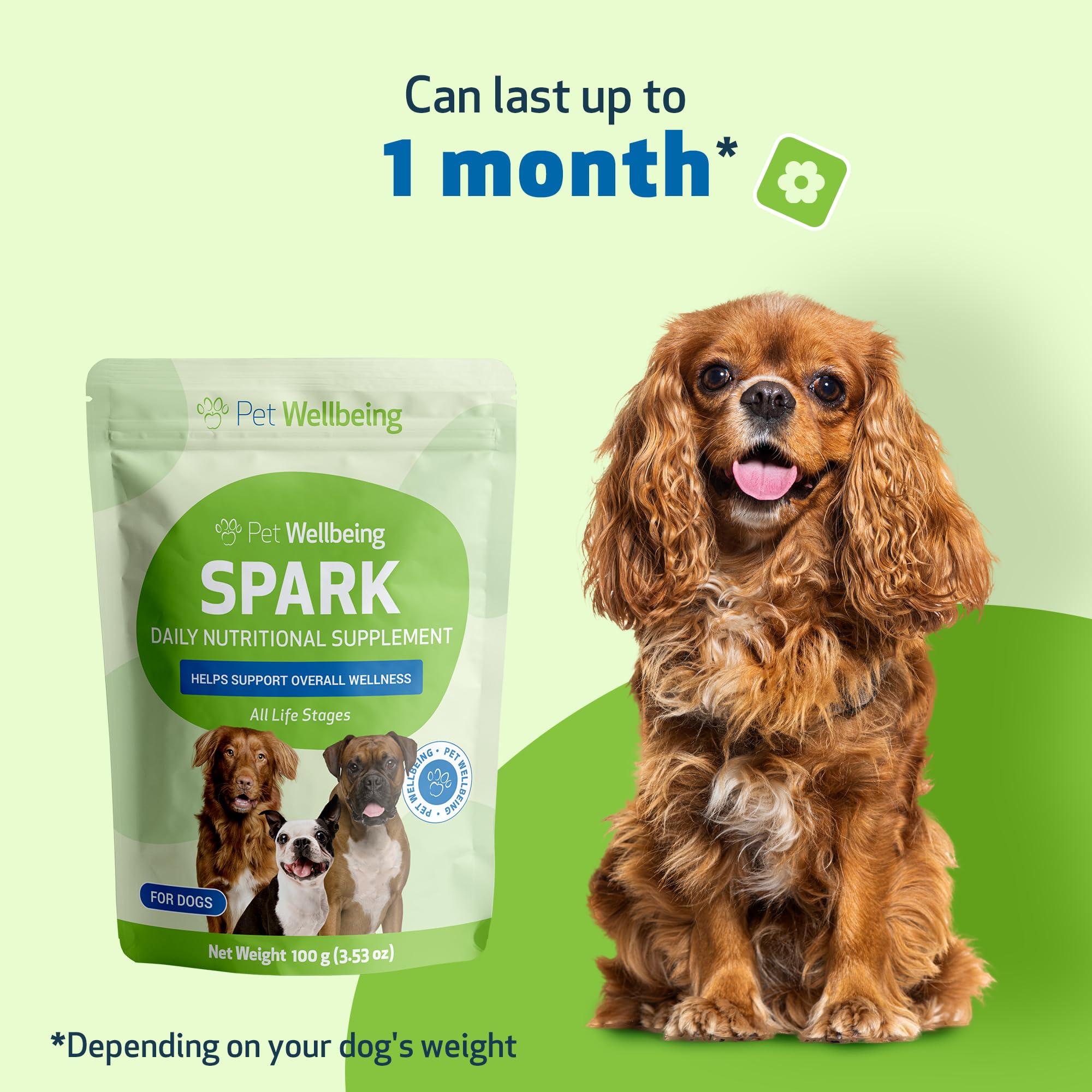 Chiens et chats peuvent bénéficier de Pet Wellbeing Spark Daily dans leur routine