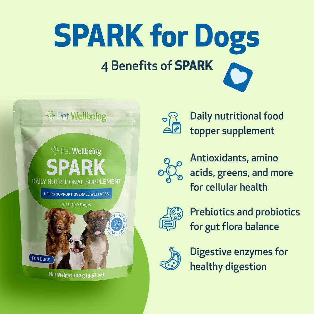 Ingrédients clés Pet Wellbeing Spark Daily: probiotiques, prébiotiques et enzymes