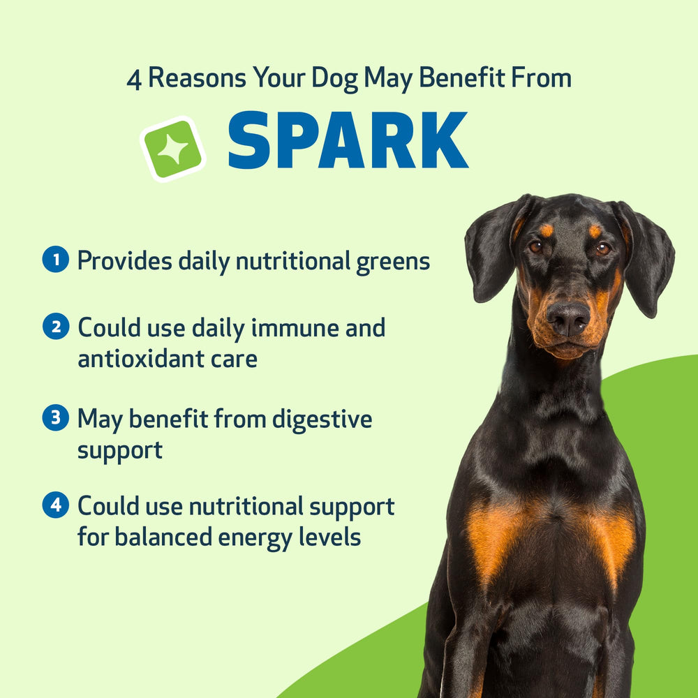 Mise en bol Pet Wellbeing Spark Daily se mélange sans effort à l'alimentation