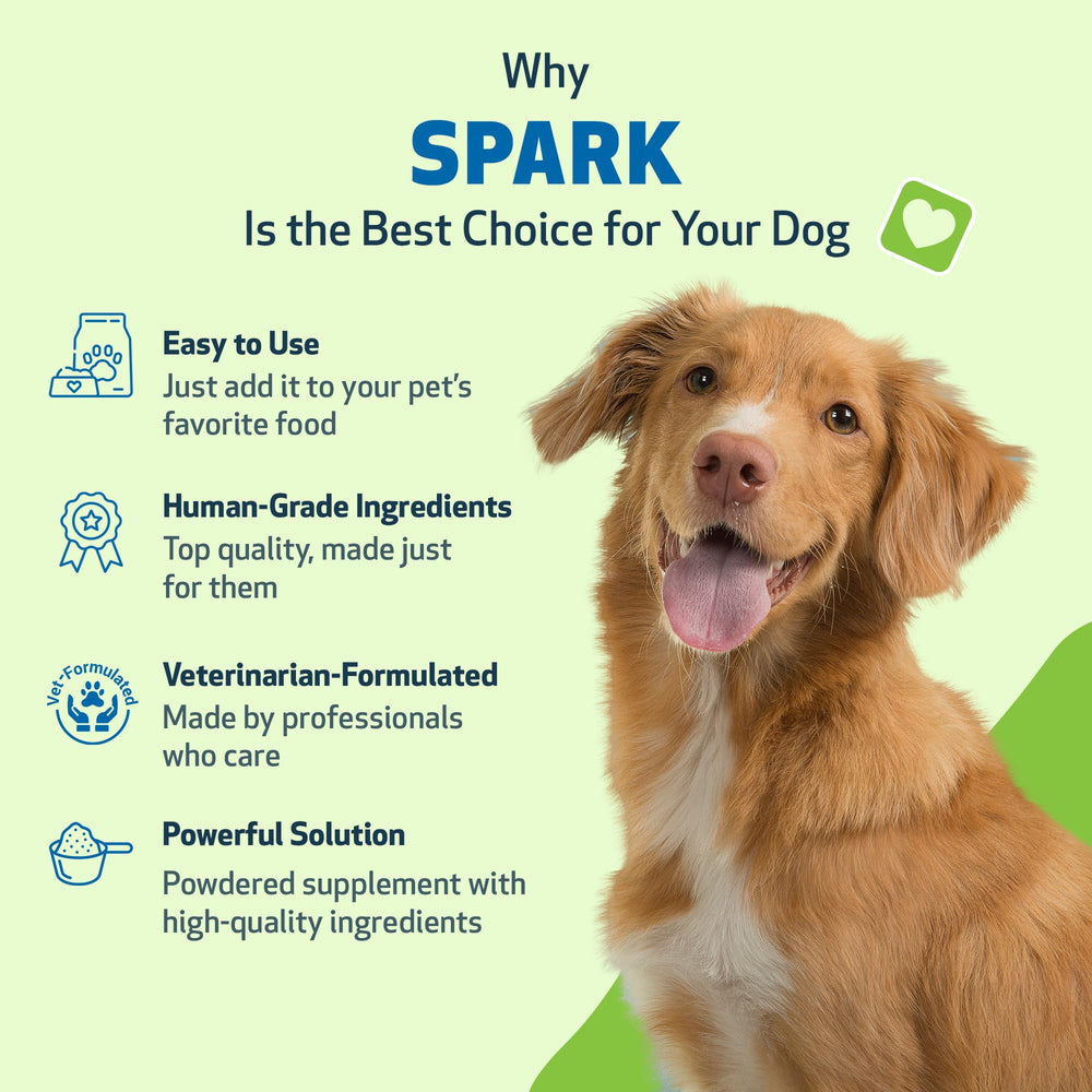 Spiruline et chlorelle Pet Wellbeing Spark Daily apportent des antioxydants naturels