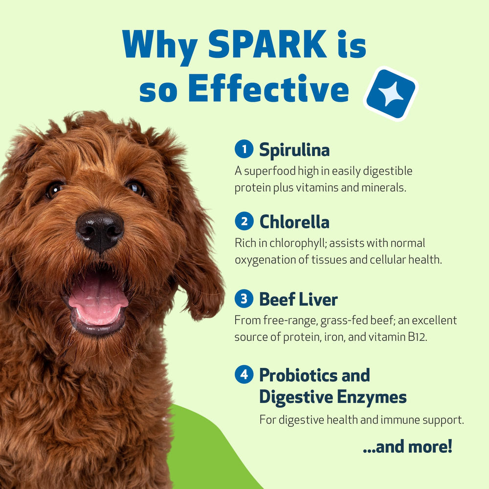 Formule vétérinaire Pet Wellbeing Spark Daily soutient potentiellement la vitalité