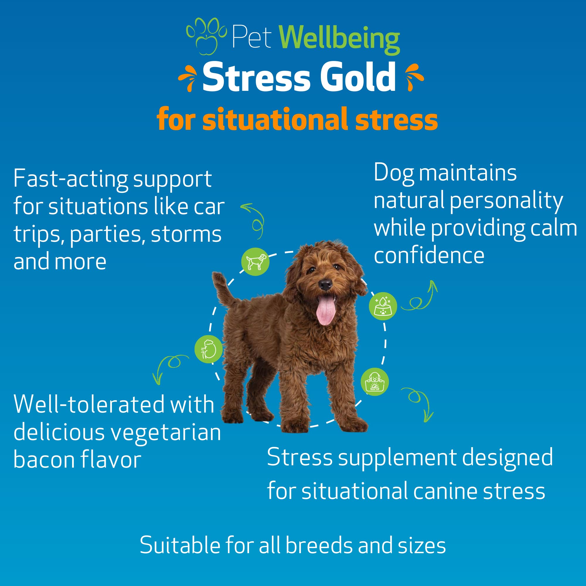 Stress Gold Pet Wellbeing: gouttes versées facilement, timing précis avant trajets en voiture.